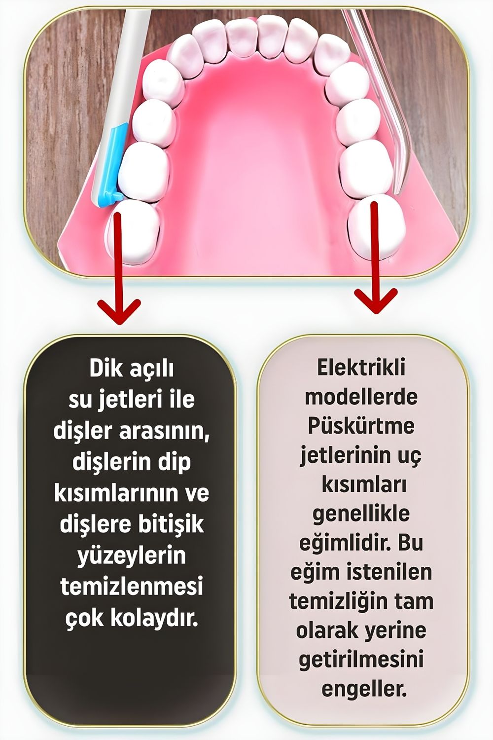 GH DENT Ağız Diş Duşu 3 Başlıklı Tazyik Ayarlı